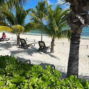 Beachfront Loft Amara , Cancun Mexico