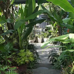 Homestay Sunny Garden, Hoi An
