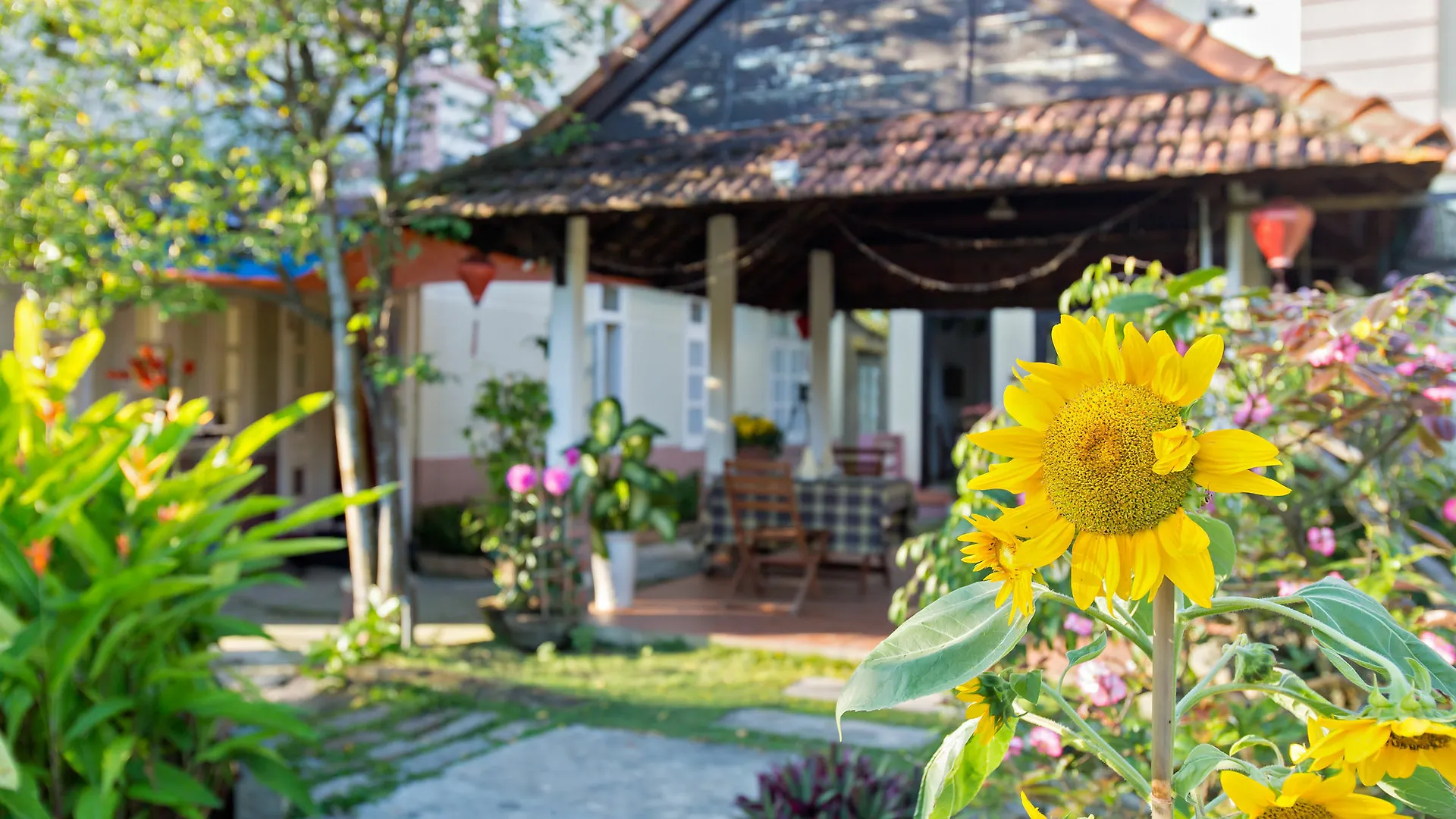 Do River Homestay Hội An